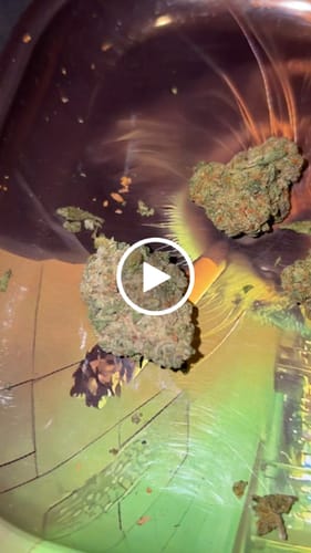 Customer video review of Static 45% THCA