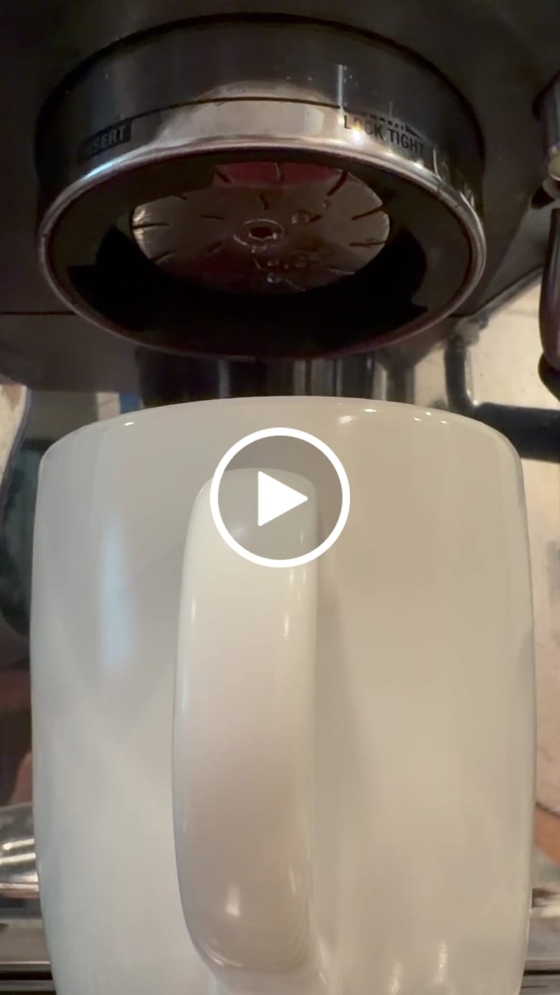 Customer video review of High Diffusion Espresso Shower Screen - Breville