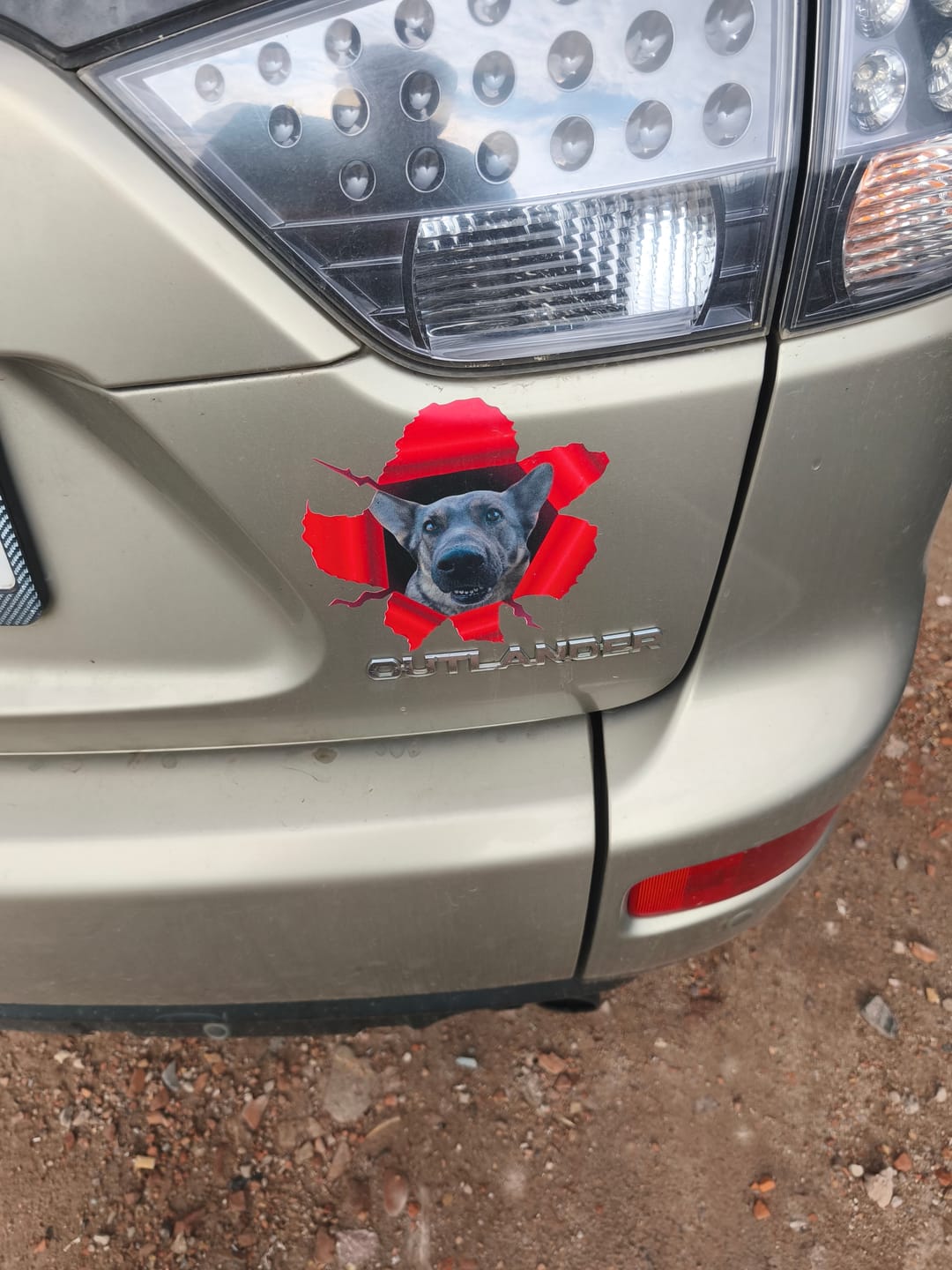 Customer photo review of Personalisierter Autoaufkleber - Spähendes Foto