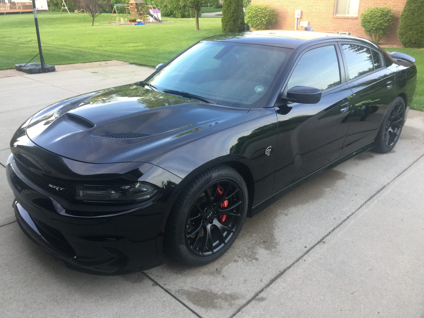 Customer photo review of Tazer