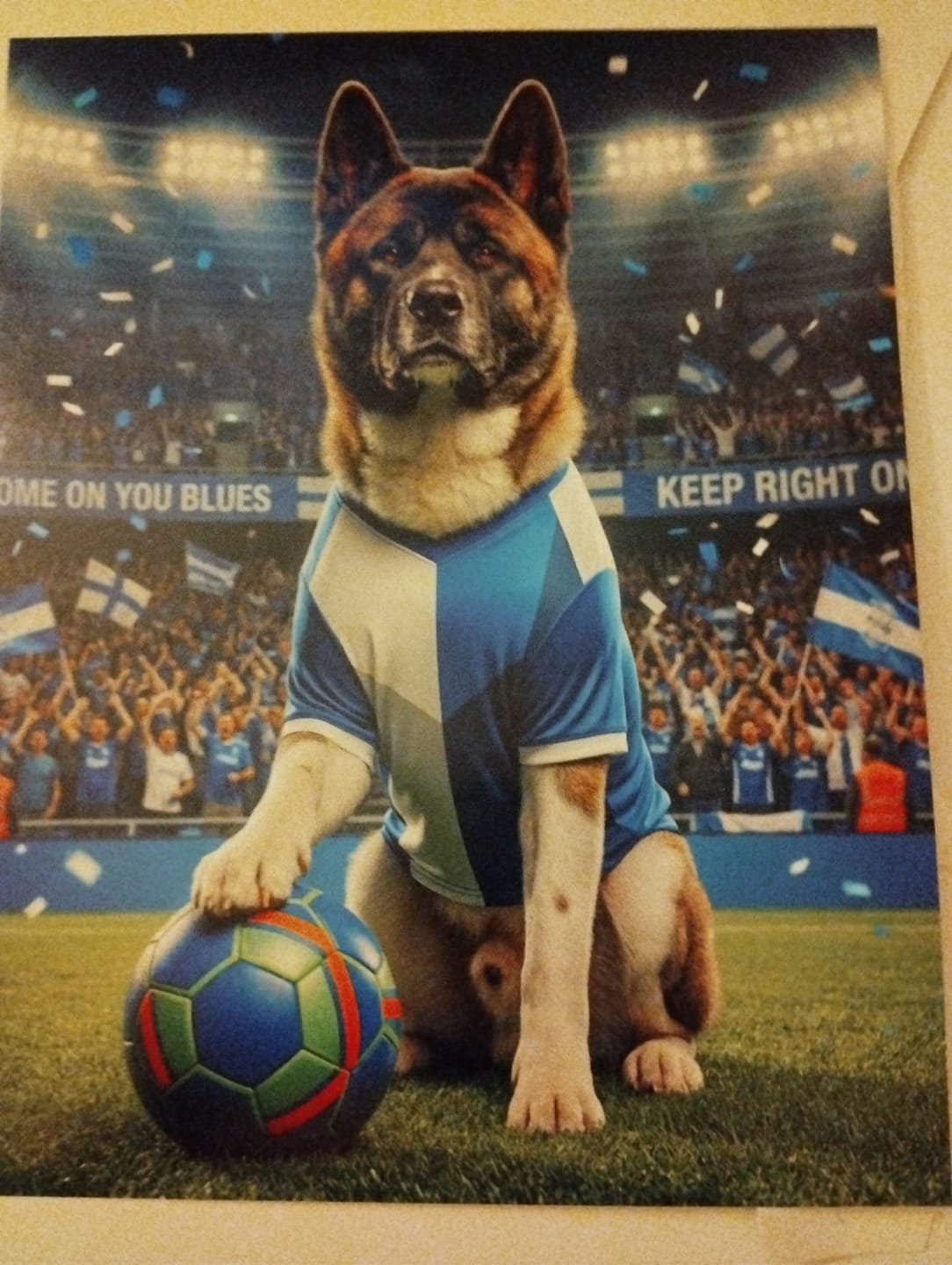 Customer photo review of World Cup - Personalised Poster