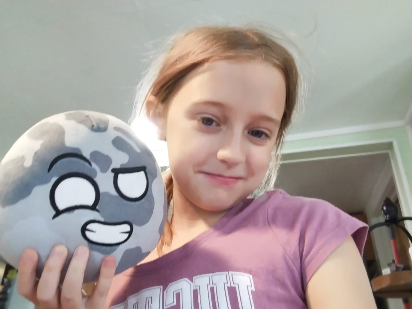 Customer photo review of The SolarBalls Mercury Plush