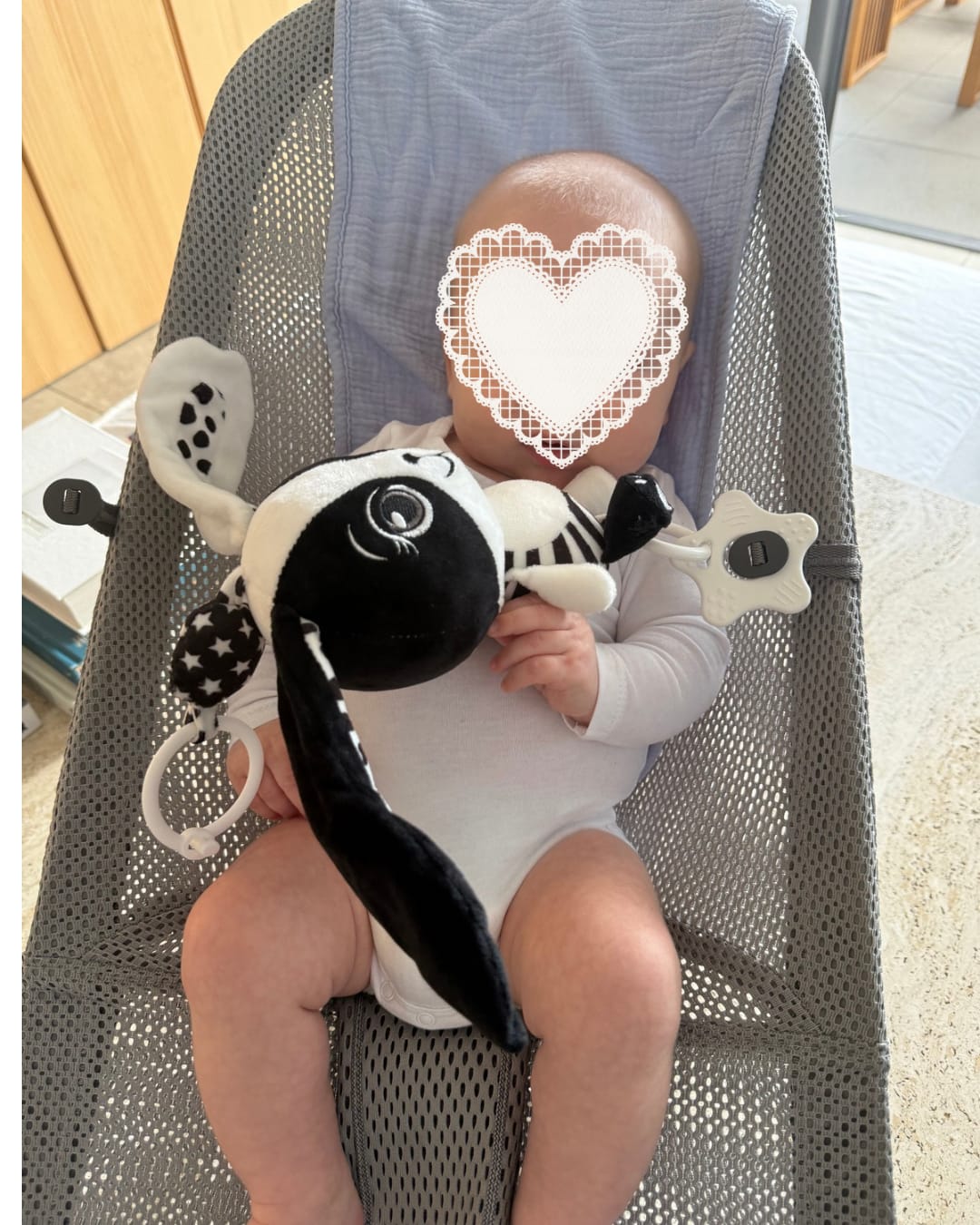 Customer photo review of Billie the Bunny – High Contrast Hanging Pram Toy