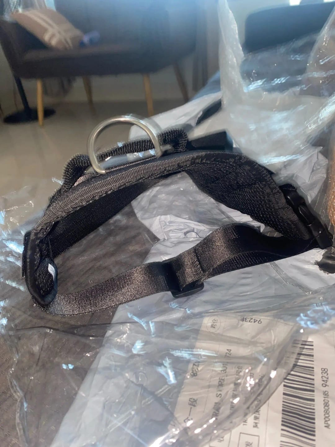 Customer photo review of Pettorina Regolabile Cane Sicura