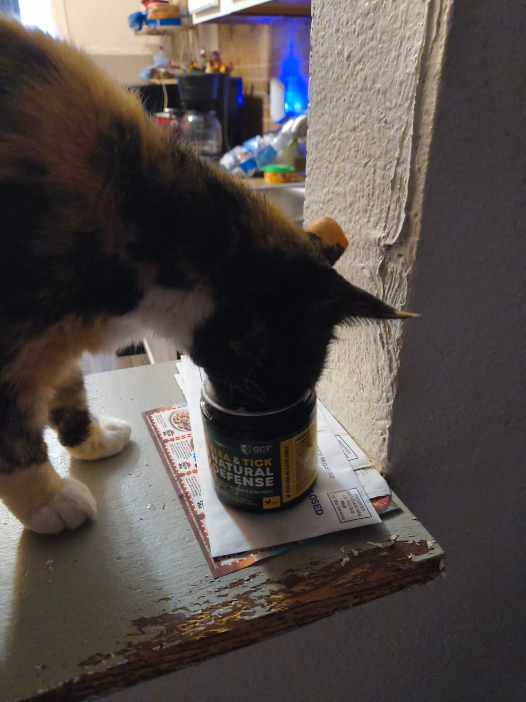 Customer photo review of GCP Flea & Tick Natural Defense for Cats - 100 Soft Chews
