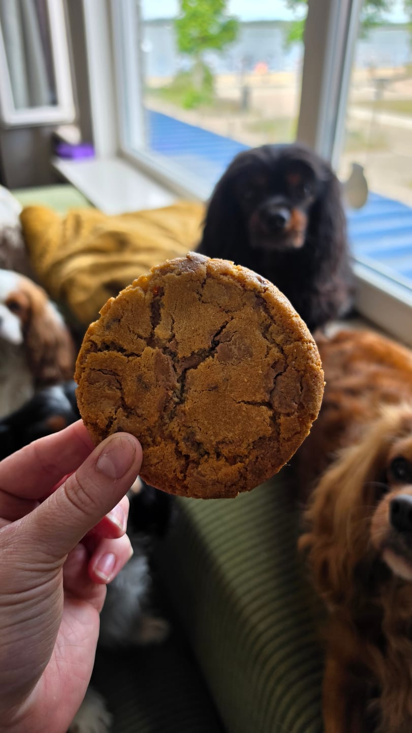 Customer photo review of OG Chocolate Chip Cookies
