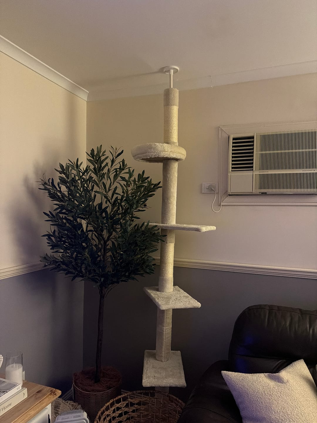 Customer photo review of Floor to Ceiling Cat Tree 230-275cm