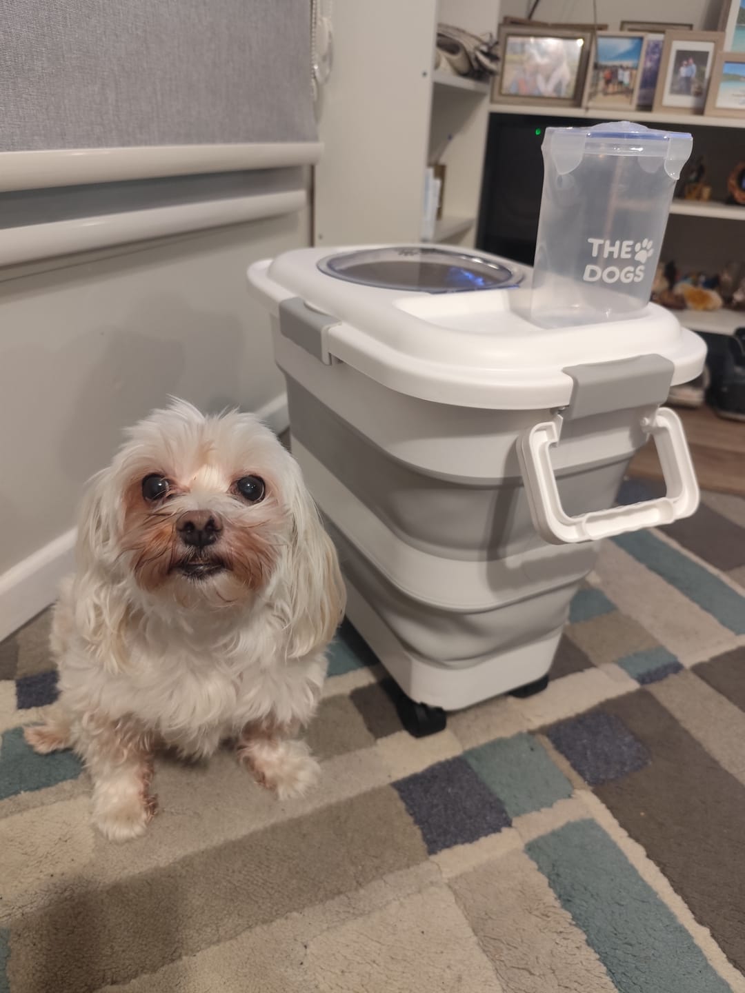 Customer photo review of Contenedor Hermético THE DOGS — Alimento fresco y sin olores