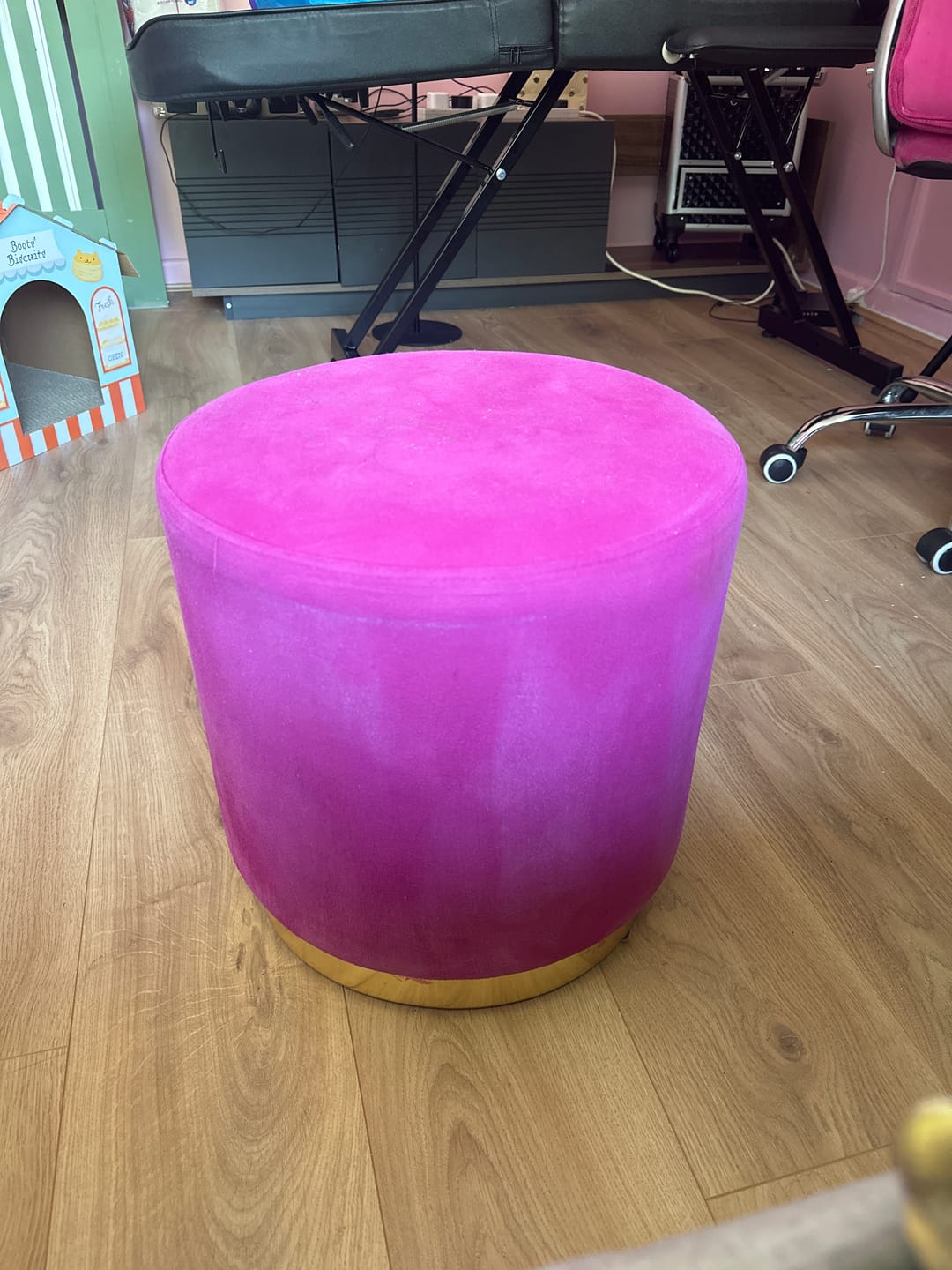Customer photo review of Fabric Paint -- Raspberry