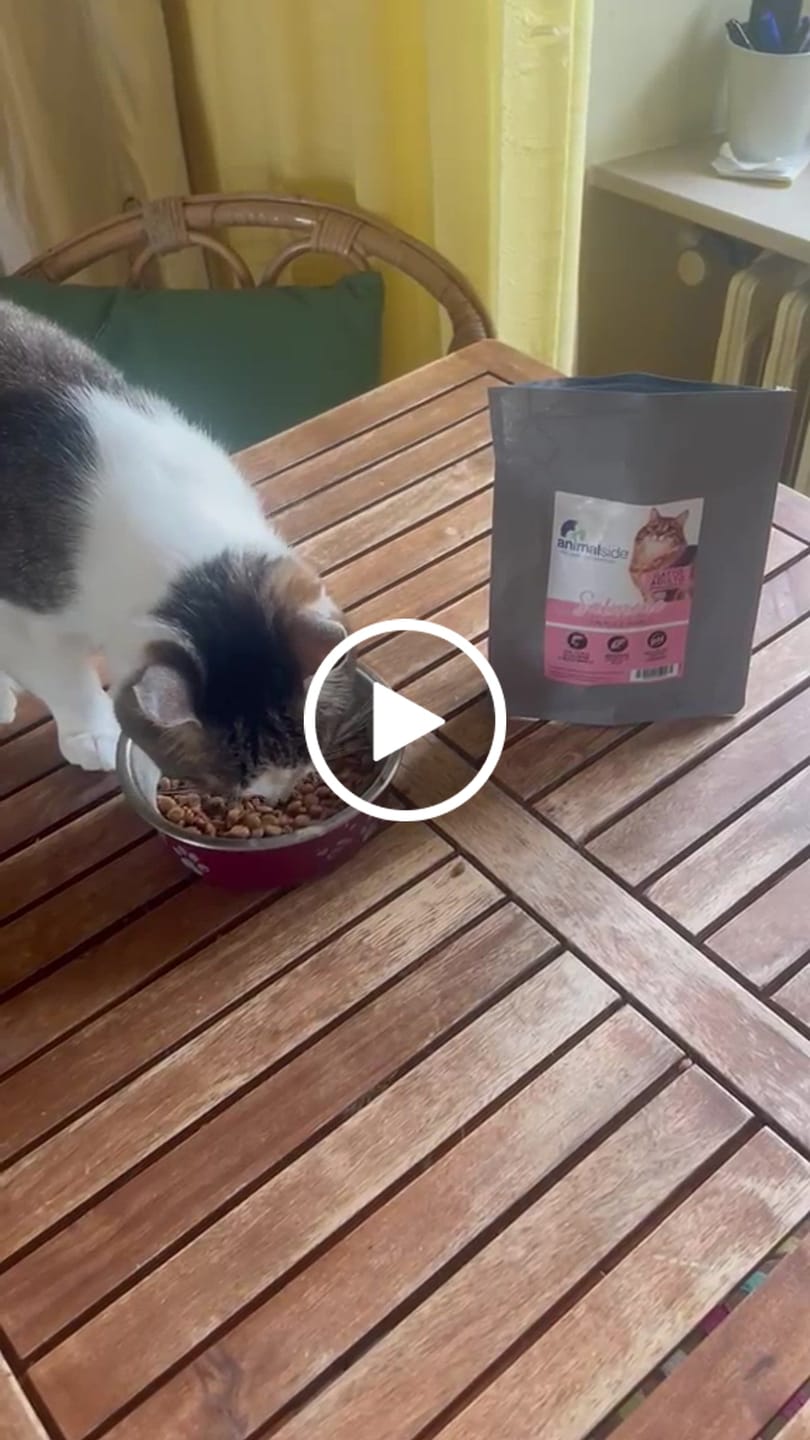 Customer video review of Crocchette per Gatti Adulti Sterilizzati - Salmone con Pesce Bianco - Grain Free