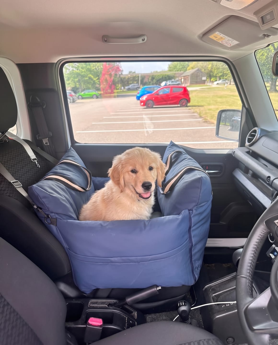 Customer photo review of The Wag Dock V2 - Now with ISOFIX Security