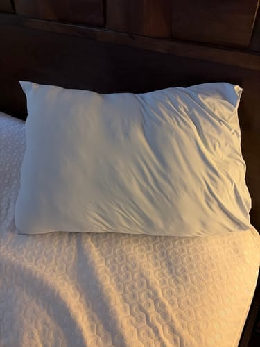 Customer photo review of Lune & Willow Pillow