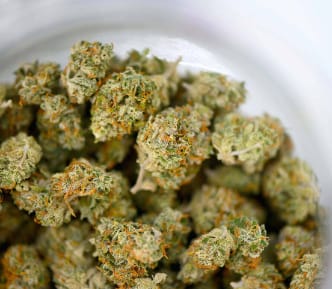 GMO Minis - Bulk Minis - Indica photo review
