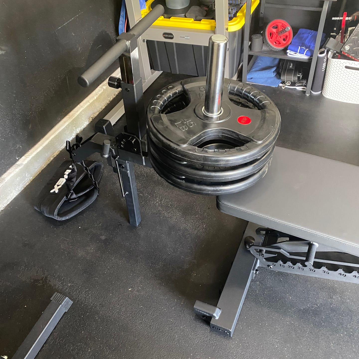 Customer photo review of APEX BARRETT BELT SQUAT