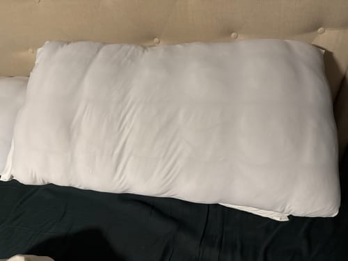 Customer photo review of Lune & Willow Pillow