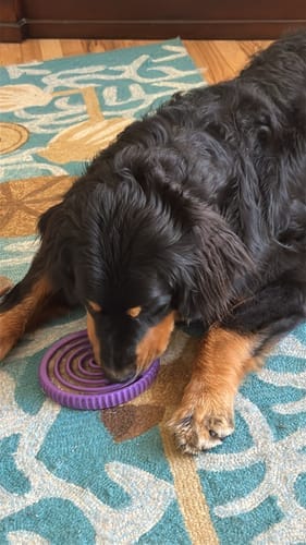 Customer photo review of FreezSwirl - Durable Stimulation Toy