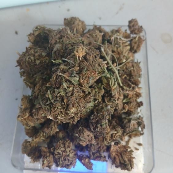 Customer photo review of Purple Kush - 28 Grams - Indica