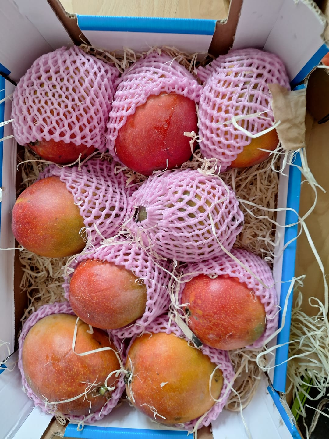 Customer photo review of Mango Kent Premium baumgereift