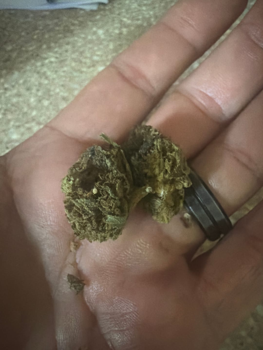 Customer photo review of Super Lemon Haze  - 14 Grams - Sativa