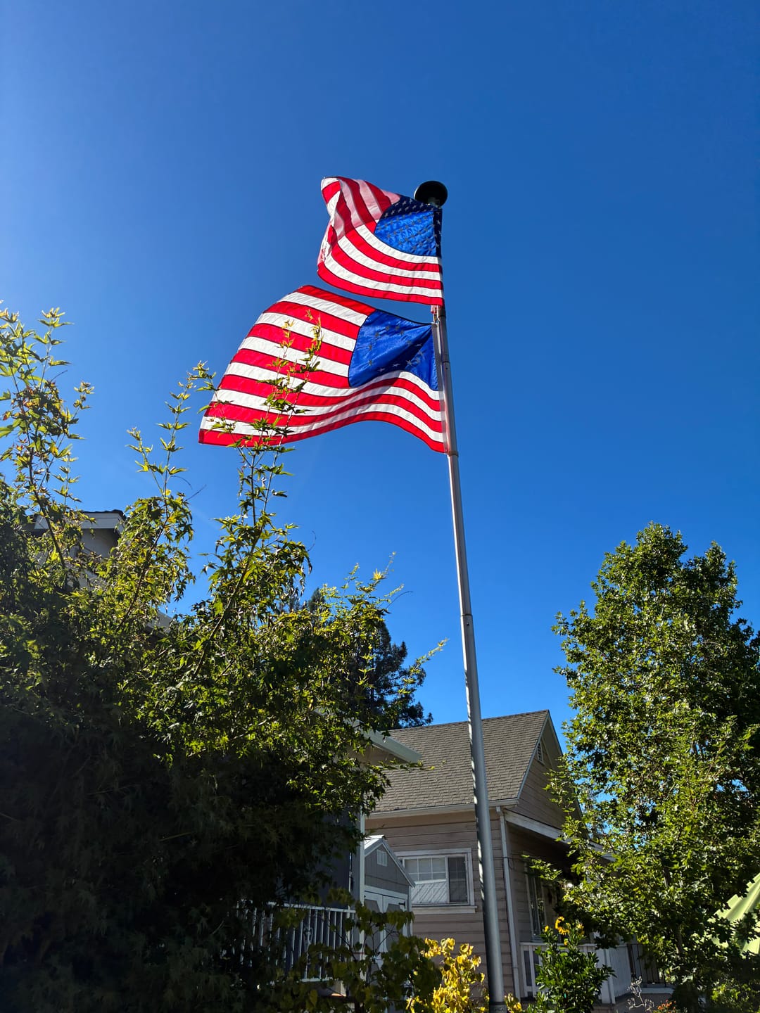 Customer photo review of 3' x 5' Betsy Ross Flag