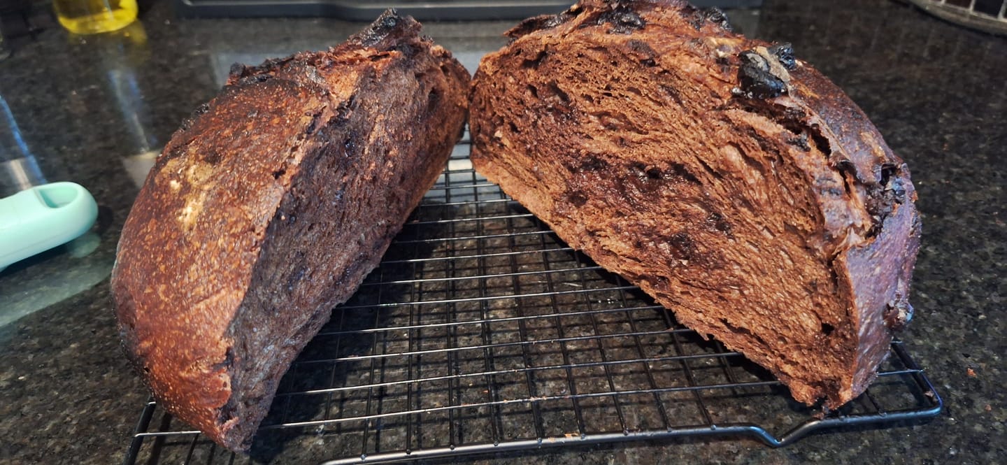 Customer photo review of Live 119 Year Old Valrhona CHOCOLATE Sourdough Starter Includes Maintenance PDF & Chocolate Noir Loaf Recipe
