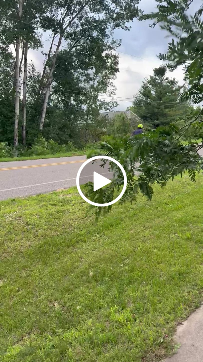 Customer video review of Eskute® RTX 19"17" 6500W Electric Dirt Bike for Adults