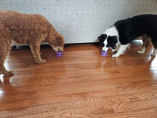 Customer photo: Freezball