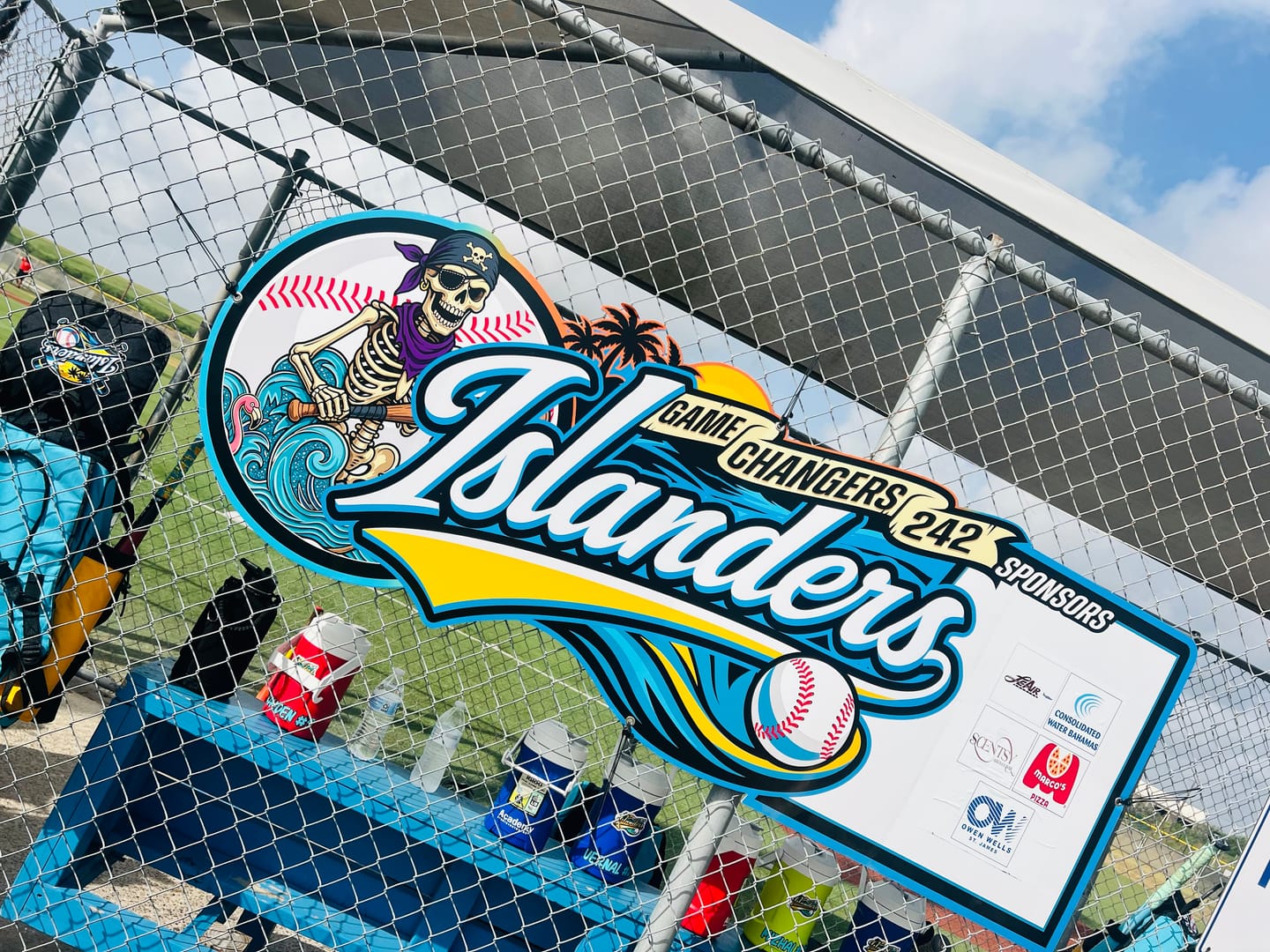 Customer photo review of Dugout Signs