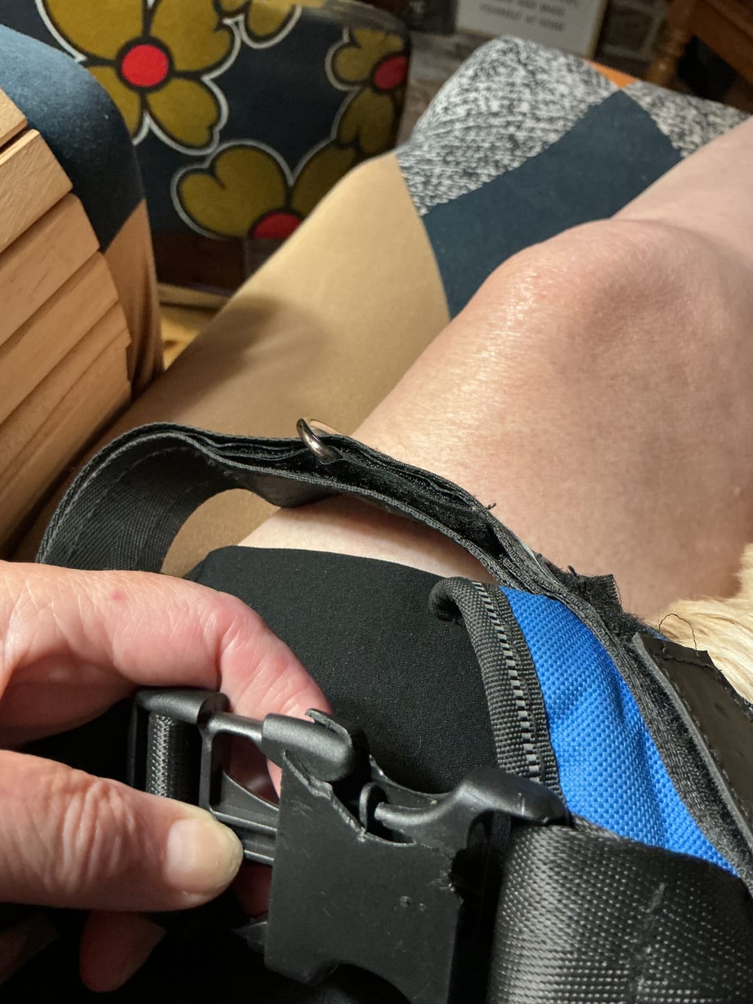 Customer photo review of Bungee Leash