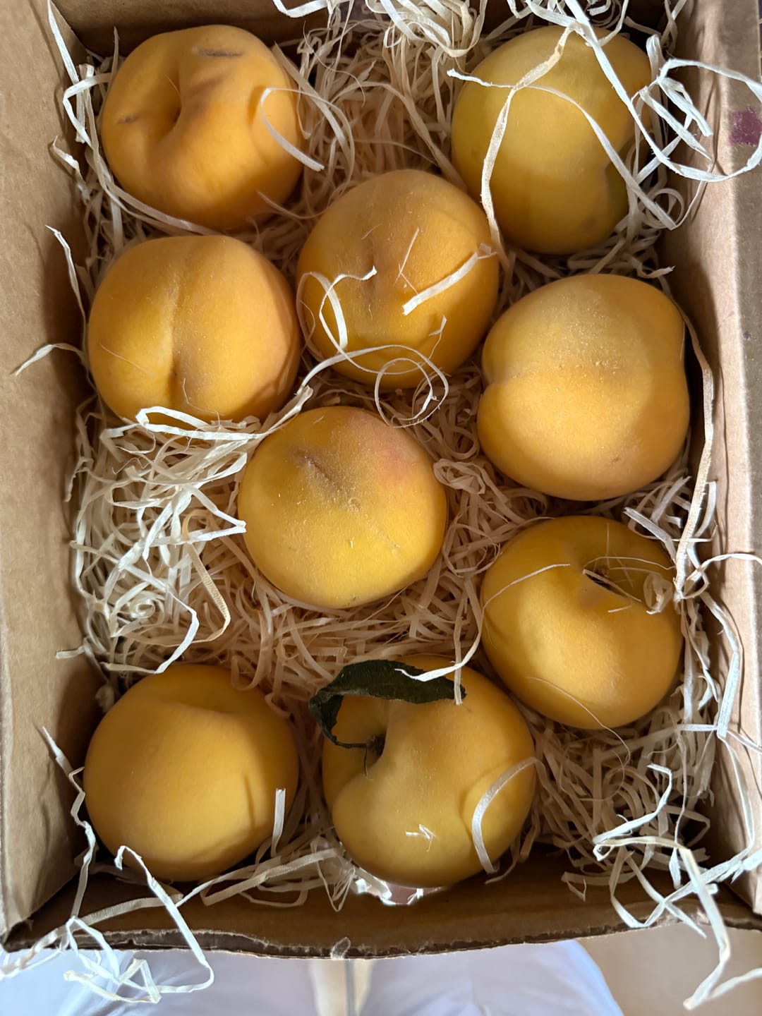 Customer photo review of Pfirsich-Delikatesse "Percoca" Bio von Familie Candela