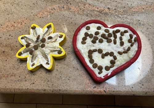 Customer photo review of FreezHeart - Durable Heart Enrichment Chew