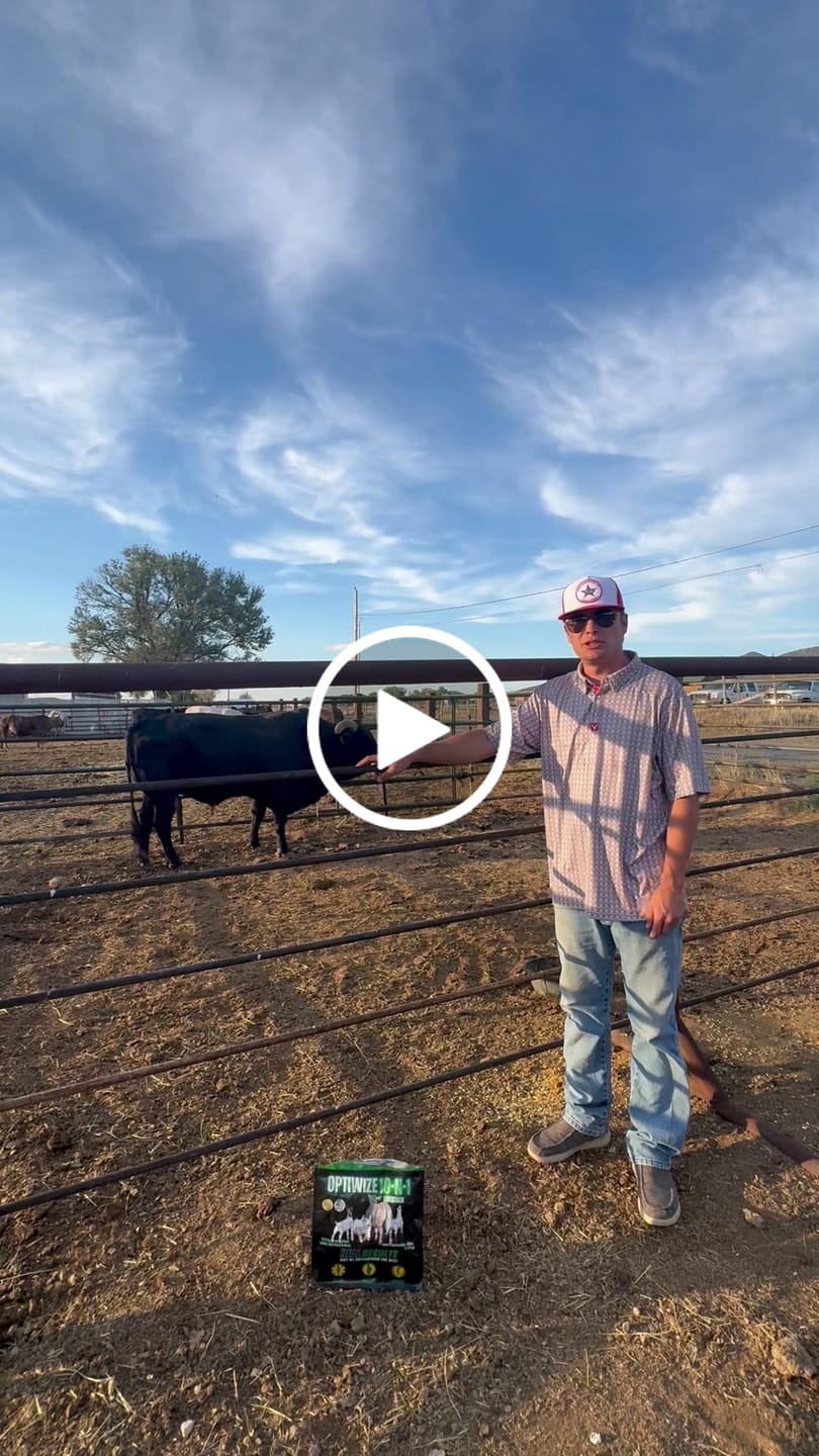 Customer video review of OptiWize Collagen +Plus Livestock Joint Supplement