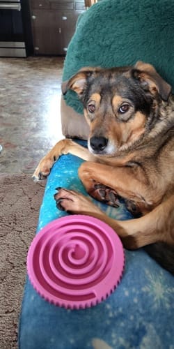 Customer photo review of FreezSwirl - Durable Stimulation Toy