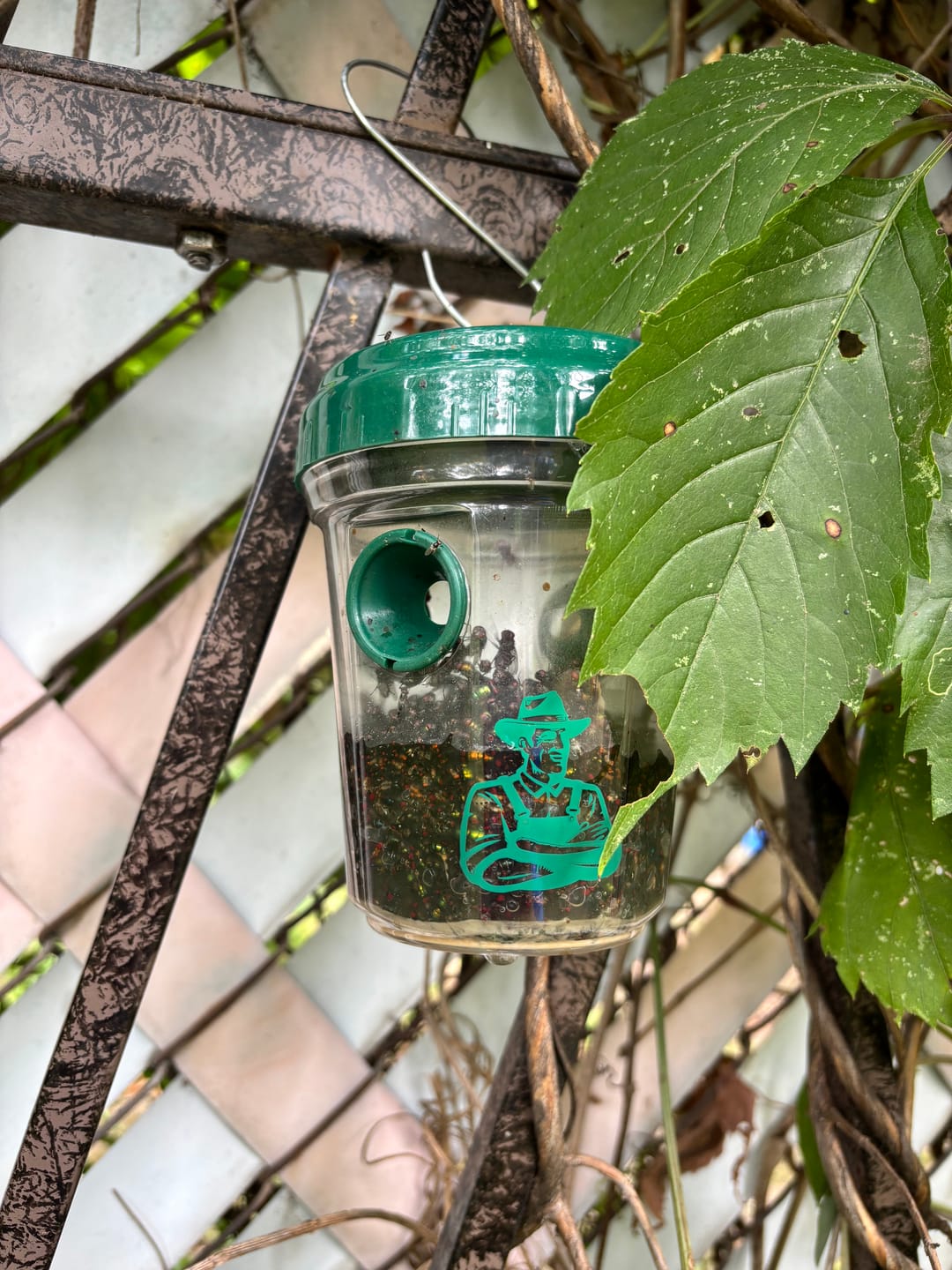 Customer photo review of Mosquito TNT 2.0