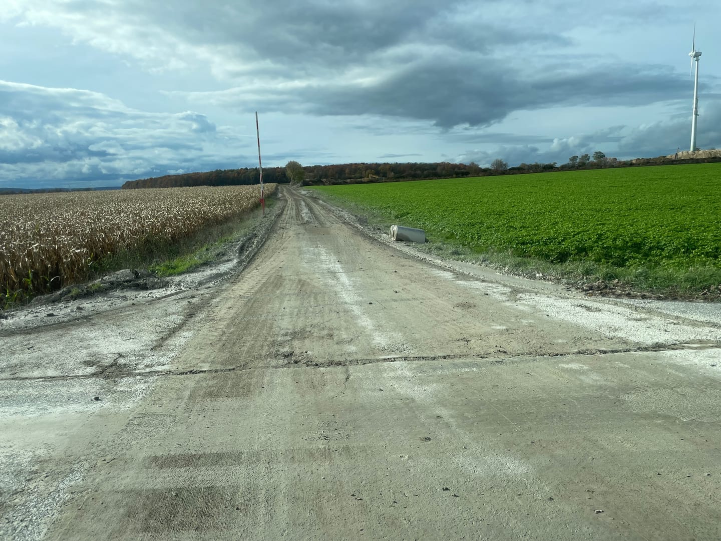 Customer photo review of VertiVia® intens – Schwindel & Gleichgewicht