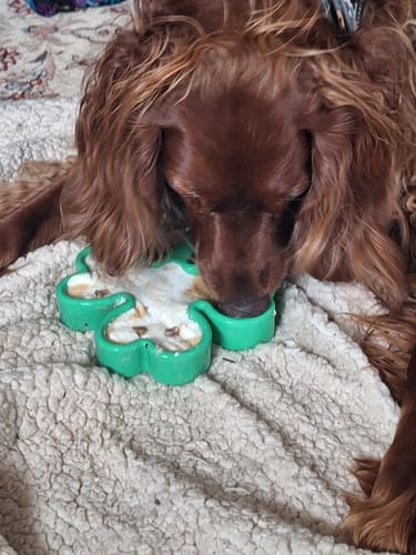 Customer photo review of FreezSwirl - Durable Stimulation Toy