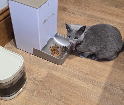 Customer photo review of Automatic Pet Feeder