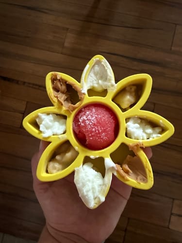 Customer photo review of FreezFlower - Long-Lasting Frozen Flower Dog Treat Toy