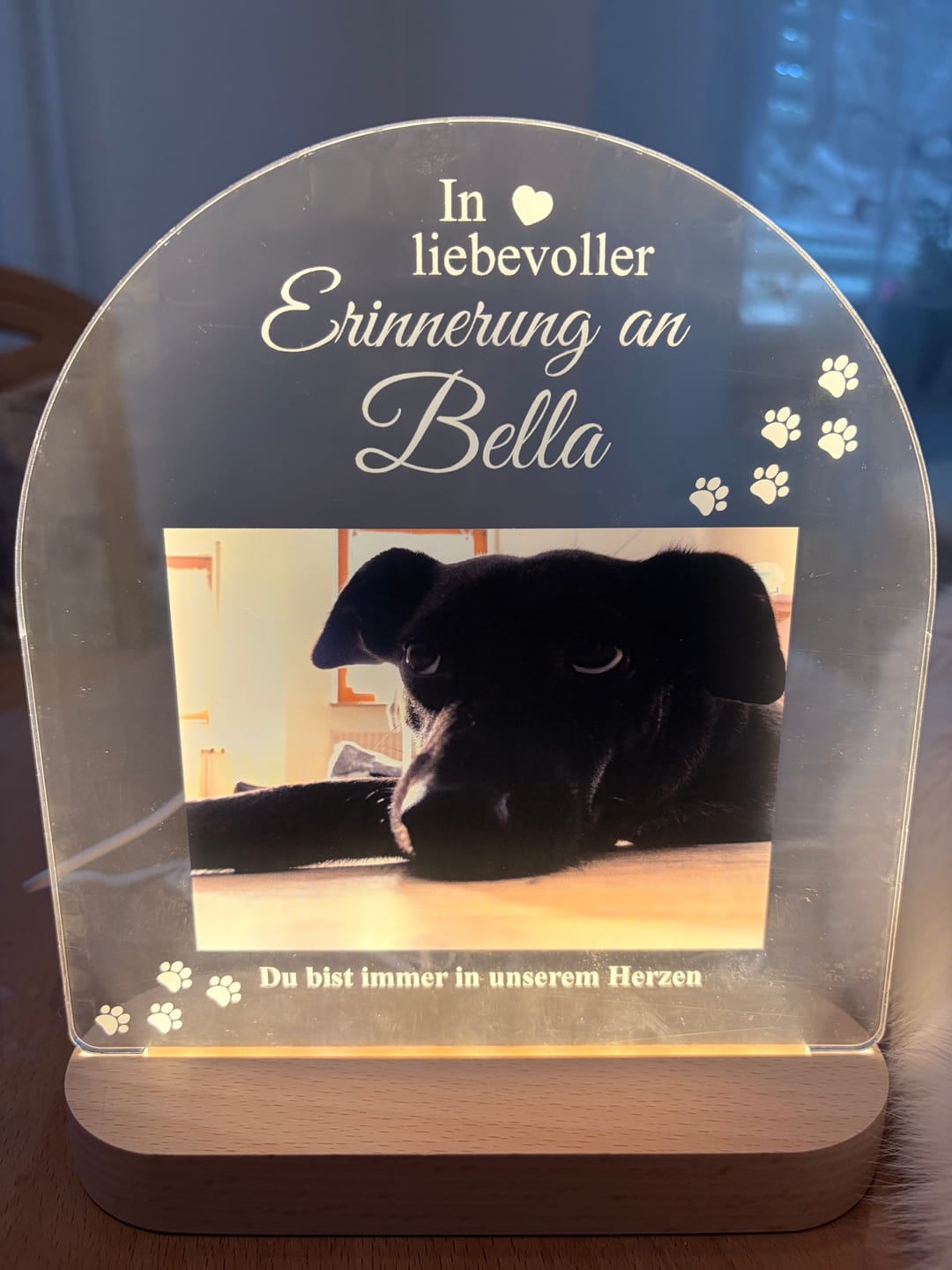 Customer photo review of Zur liebevollen Erinnerung – LED-Lampe für Hund/Katze