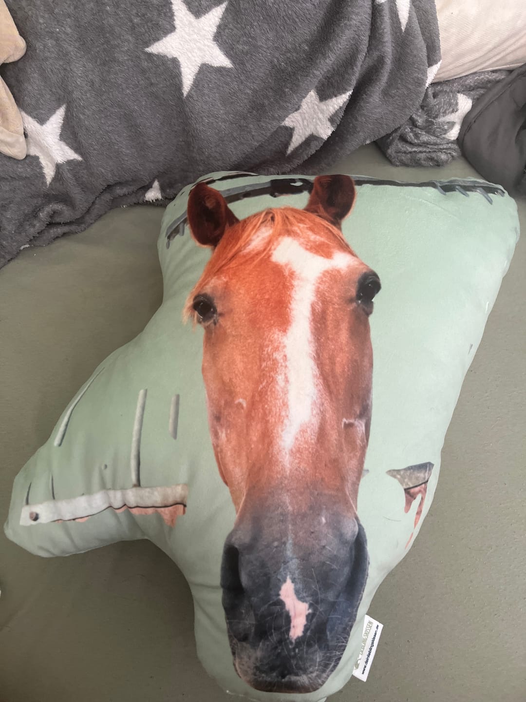 Customer photo review of Personalisiertes Tiergesichterkissen
