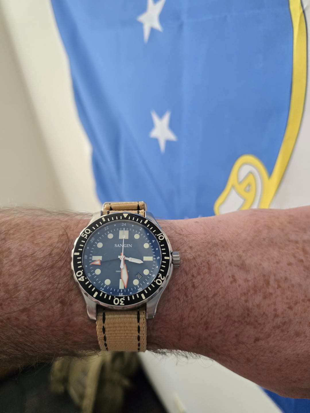 Customer photo review of Single Pass Z.A.- W.O.E. Strap 3.0