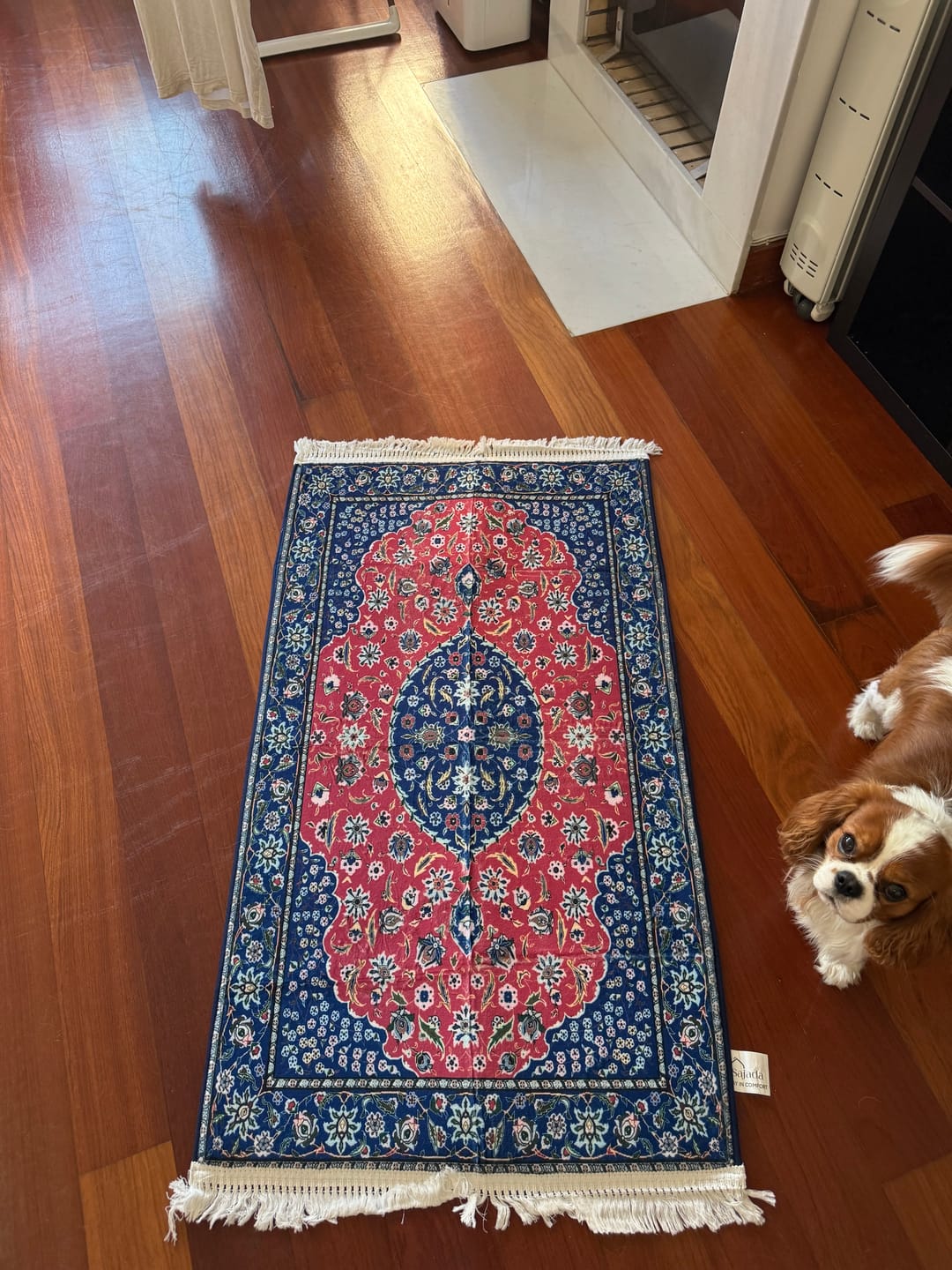 Customer photo review of Ottomon Art   Padded Prayer Mat