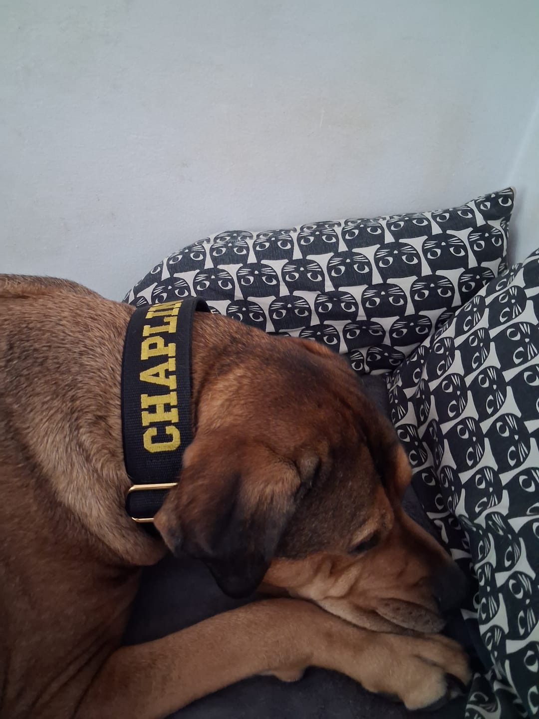 Customer photo review of Extreme Buckle med namn