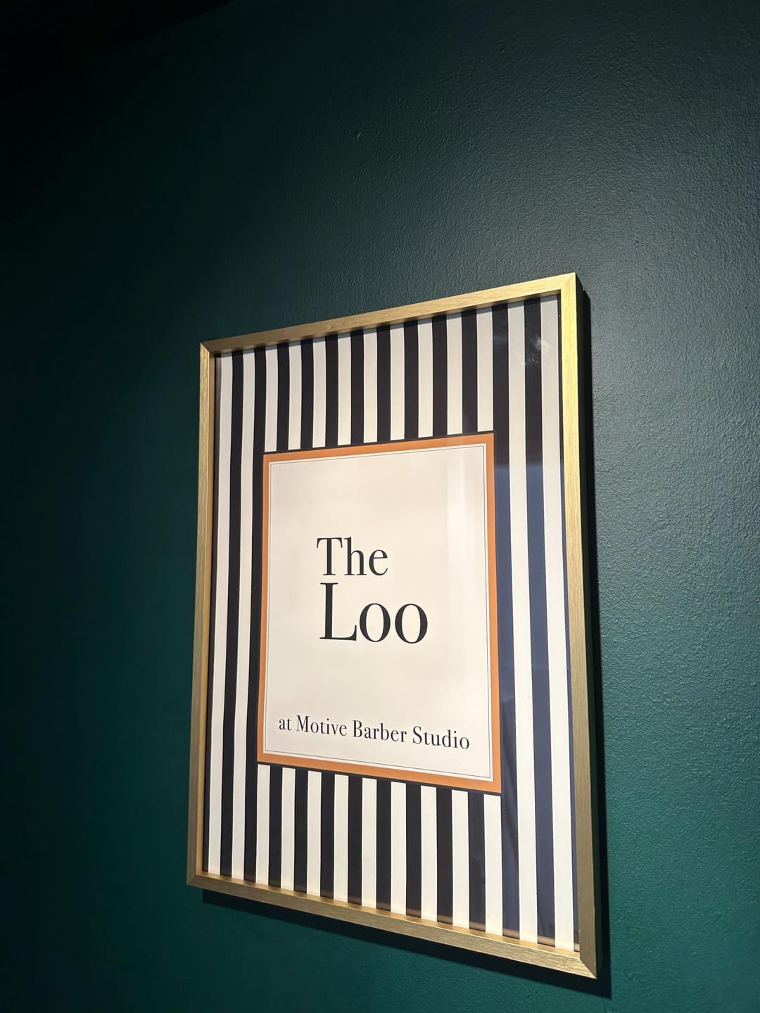 Customer photo review of The Loo Canvas Wall Art