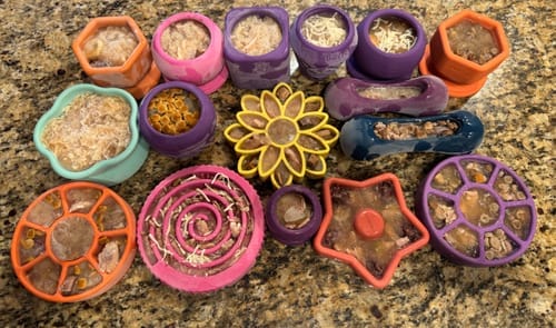 Customer photo review of FreezJumbo™ – Our Biggest & Toughest Enrichment Toy Ever