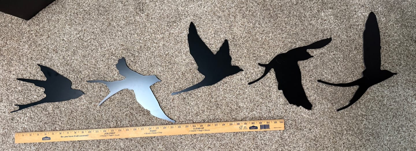 Customer photo review of Birds Wall Art