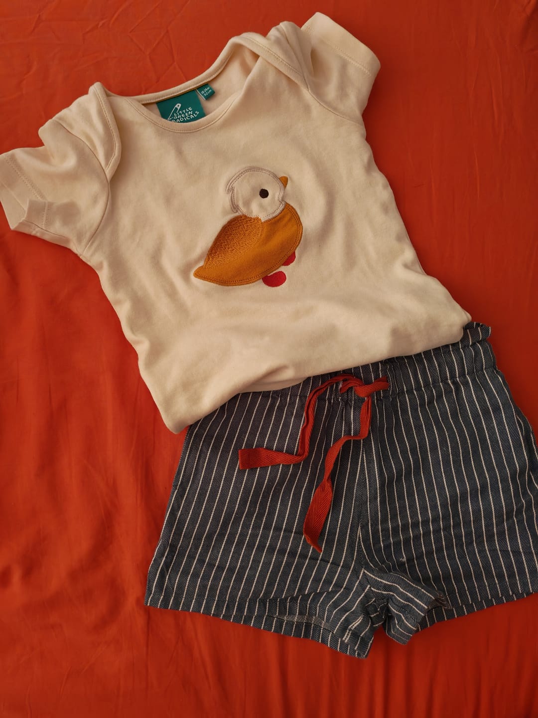 Customer photo review of Little Duck Applique Organic Short Sleeve T-Shirt