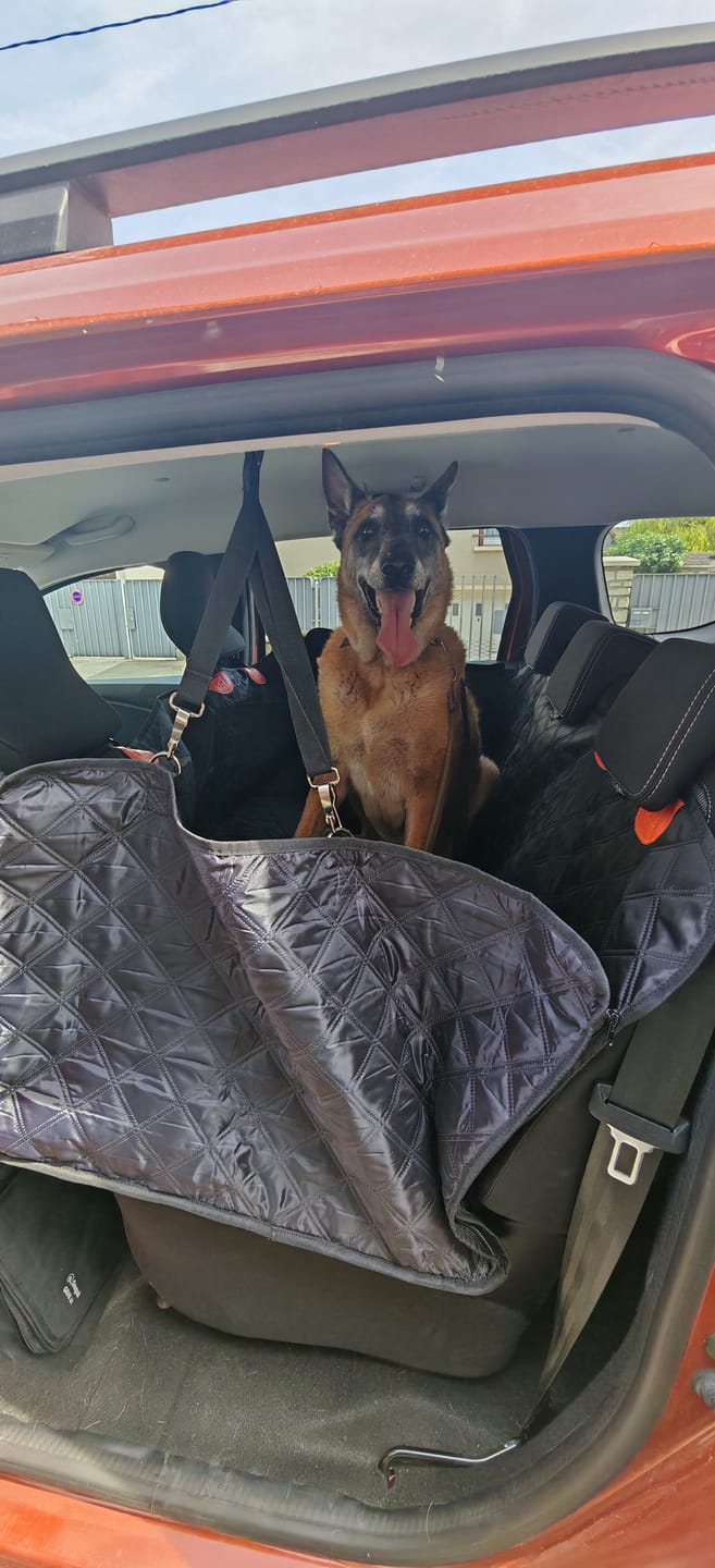 Customer photo review of Housse de voiture pour chien avec matelas gonflable - K9 GuardShield +