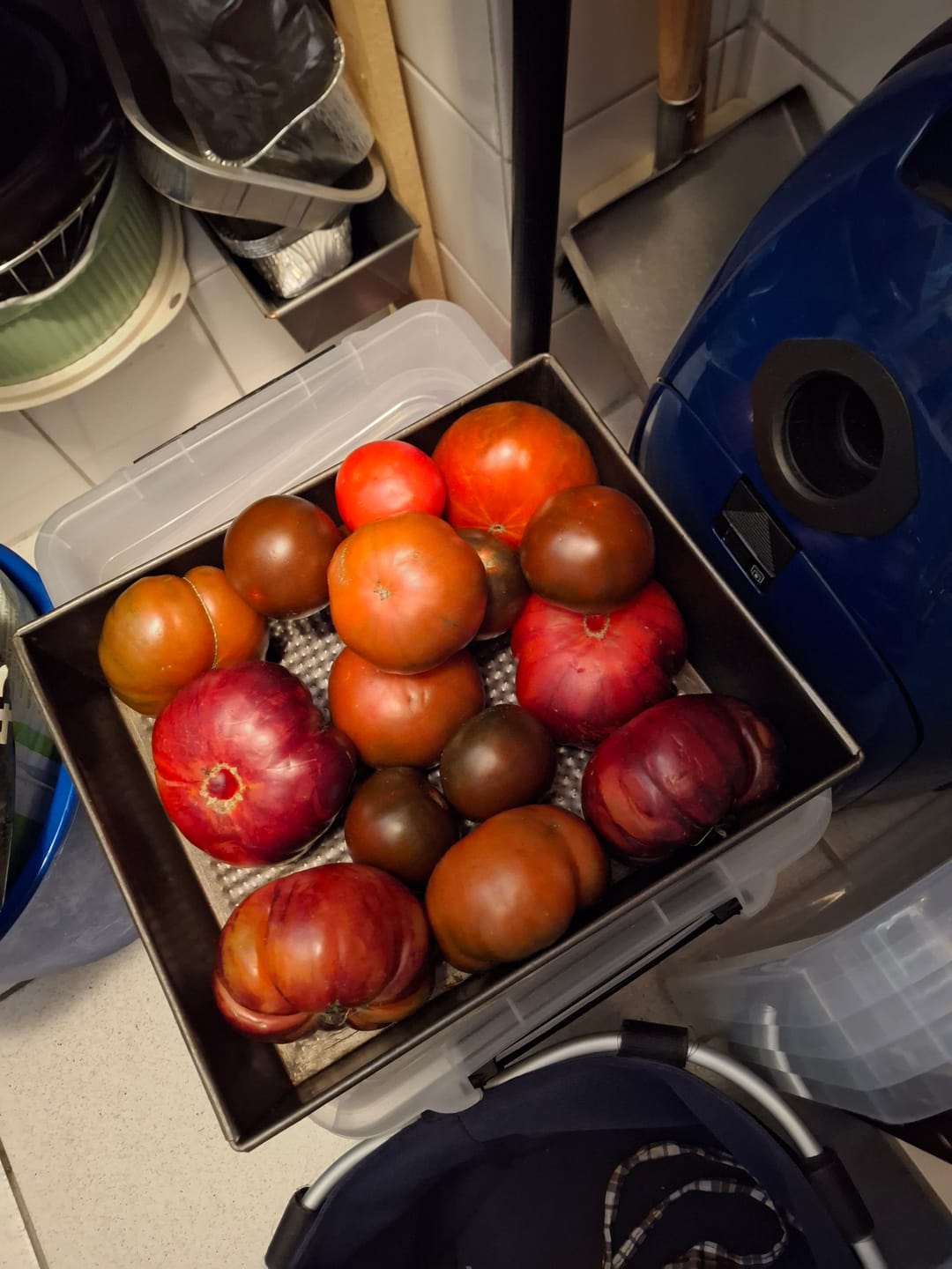 Customer photo review of Tomaten Mix von Julian Box 3kg Aktionswoche %