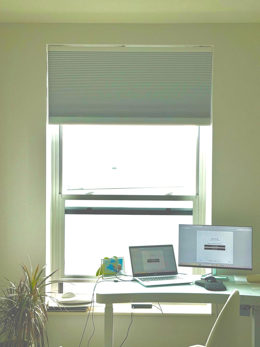 Customer photo review of SmartWings Motorized Blackout Cellular Shades Nowa